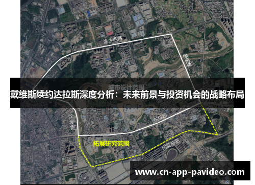 戴维斯续约达拉斯深度分析：未来前景与投资机会的战略布局