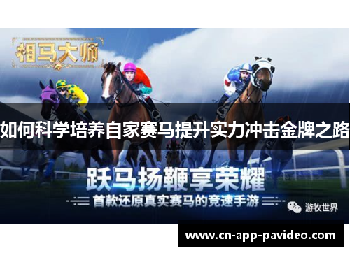 如何科学培养自家赛马提升实力冲击金牌之路