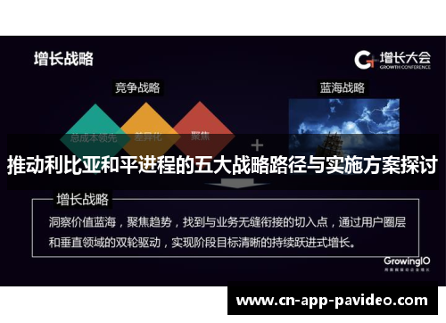 推动利比亚和平进程的五大战略路径与实施方案探讨