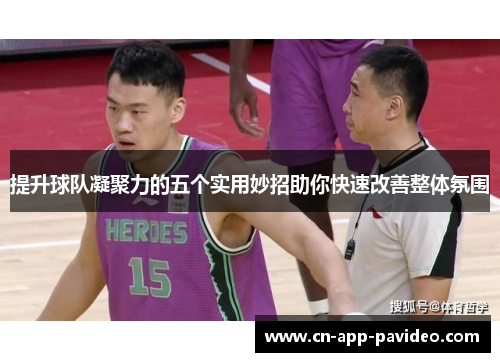 提升球队凝聚力的五个实用妙招助你快速改善整体氛围